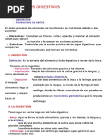TEMA 3 LA NUTRICION.docx 3º ESO BIOLOGIA RESUMEN