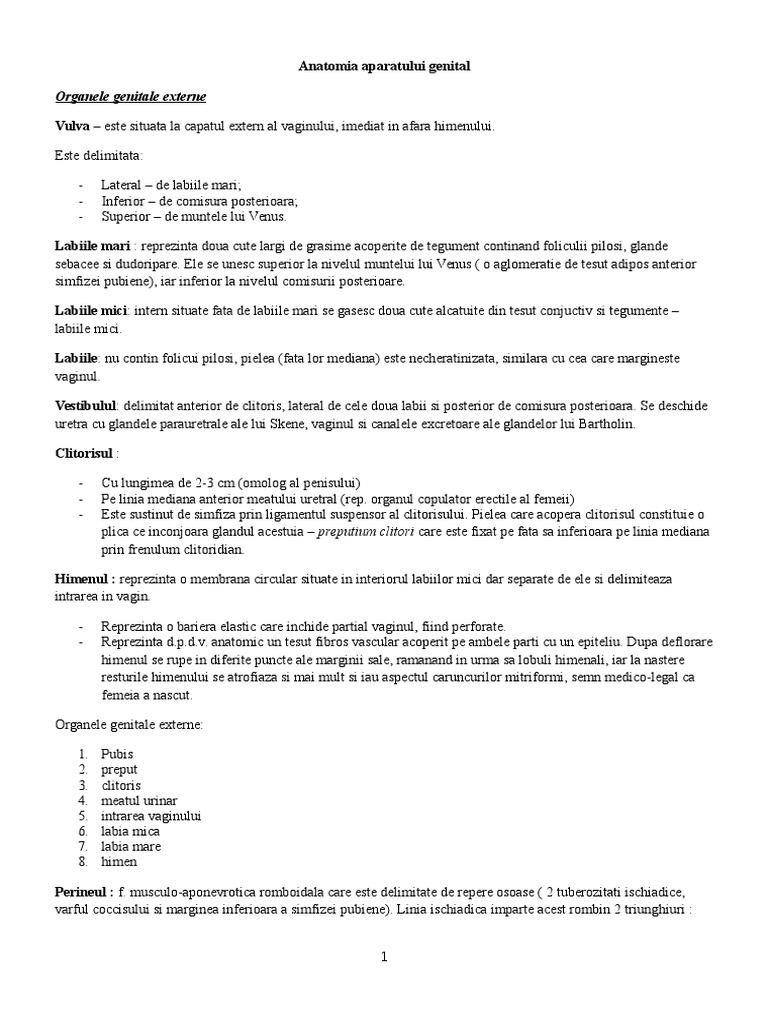 Aparatul Genital | PDF