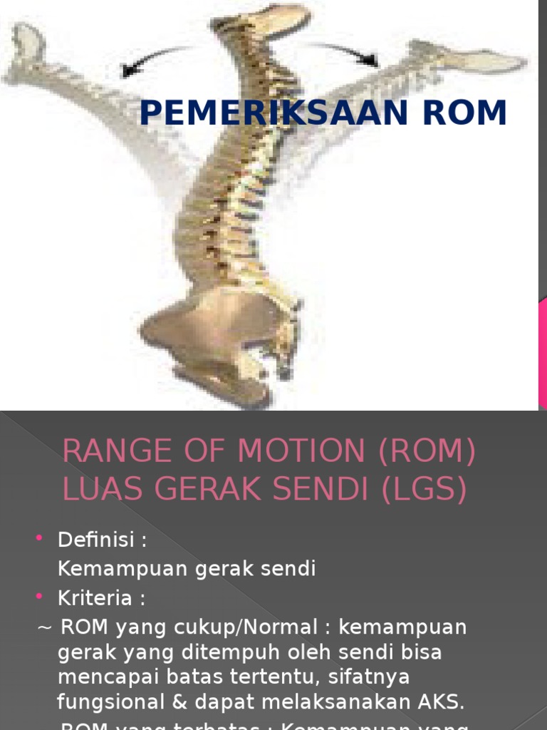 Pemeriksaan Rom | PDF