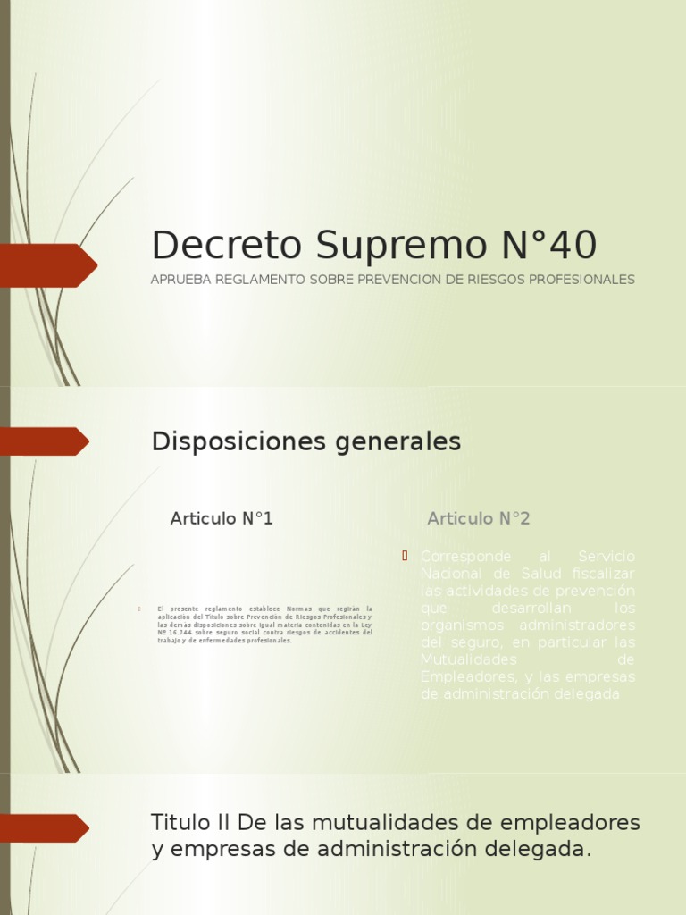 Decreto Supremo N°40 | PDF | Seguro | Derecho laboral