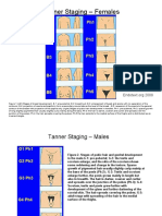 Tanner Staging PDF