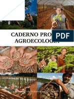 Financiamento Pronaf para agroecologia