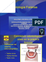 Odontología Forense: Conceptos Clave