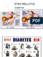 Diabetes Mellitus Prolanis  