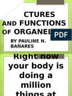 Structures and Functions of Organelles