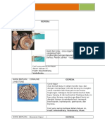 325299403-SEDIMEN-ORGANIK.docx