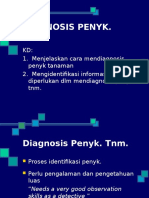 Diagnosis Penyakit Tanaman