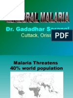 Cerebral Malaria New