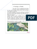 Fábula - A Formiga e A Pomba PDF