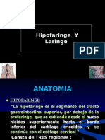 Hipofaringe y Laringe