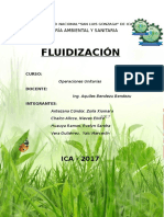 Fluidizacion