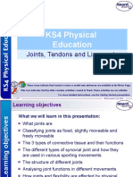 Joints Tendons and Ligaments