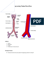 Faring Laring Trakea Paru