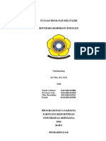 Tugas Biosel Insulin