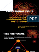 Profesional Issue (Vii)