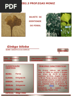 BI Do Fossil Exemplo