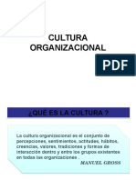 2 - Cultura Organizacional