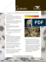 Snowleopard Update