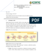 Informe de Mitosis