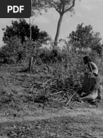 fronteira_primeiro_capitulo