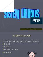 Sistem Urinalis 2