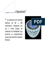 Qué Es Un Liposoma PDF