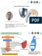 Fetal Brain Protection in Iugr