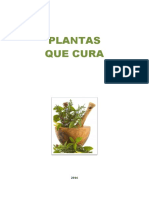 Livro Plantas Que Curam