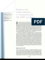 Cap 5 Replicación ADN PDF