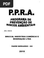Ppra Briccal Industria Comercio e Mineracao Ltda