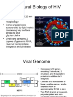 Structural Biology of HIV