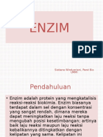 Enzim. Biokikia 2 Ppt