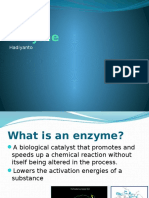 Enzyme Bioprocess