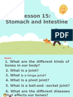 Stomach and Intestine Lesson 15