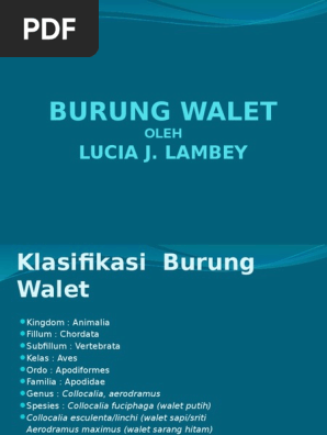 Presentasi Burung Walet