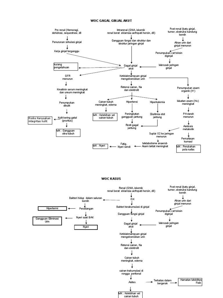 Pathway Gagal Ginjal Akut dan Kronik | PDF
