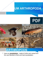 Arthropods