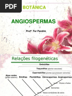 Angiospermas