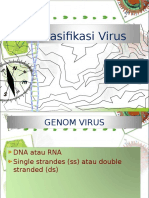 2 Klasifikasi Virus