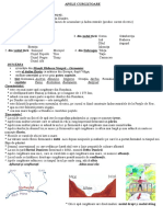 Apele curgatoare - schema lectiei.doc