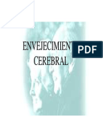 Clase Envejecimiento Cerebral.pdf