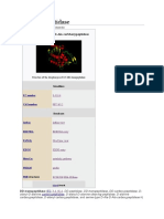 DD-transpeptidase: Serine-Type D-Ala-D-Ala Carbboxypeptidase