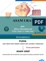 asam urat