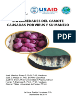 Enfermedades Del Camote