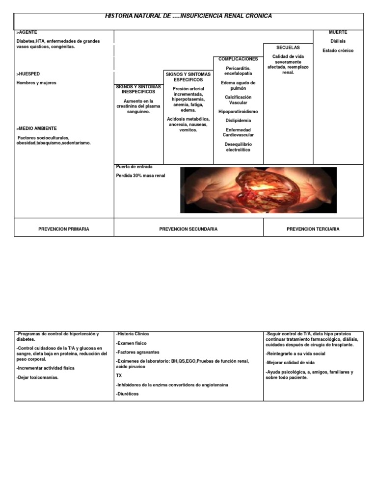 Historia Natural de Irc | PDF | Enfermedad renal crónica ...