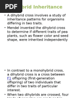 Dihybrid Inheritance