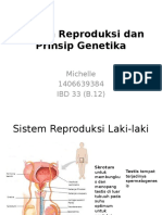 IBD 33 (B.12) - Tugas Individu Topik 2