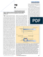 Nature Volume 399 Issue 6734 1999 [Doi 10.1038_20546] Garrett, Steven L.