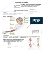 The Appendicular Skeleton