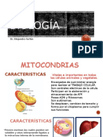 Clase 5 Estructura y Fisiologia de Organelos Transductores de Energía Mitocondria, Plastos